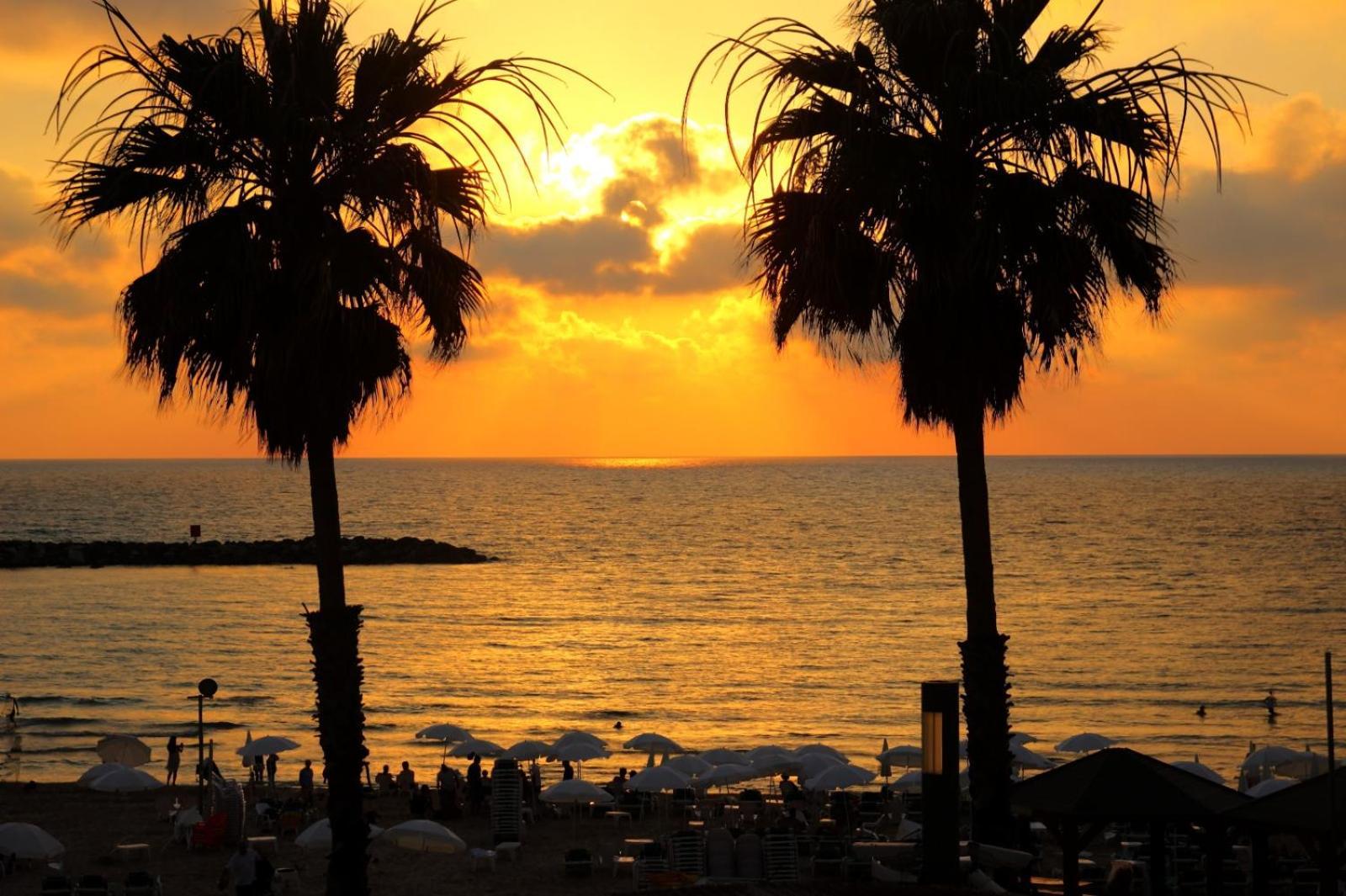 H7 Tlv Hotel Tel-Aviv Kültér fotó